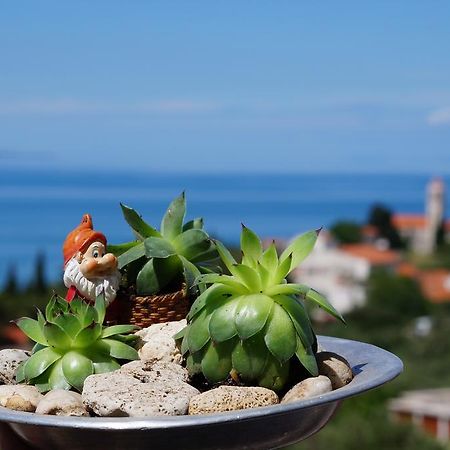 Apartments Mateljak Градац Екстериор снимка