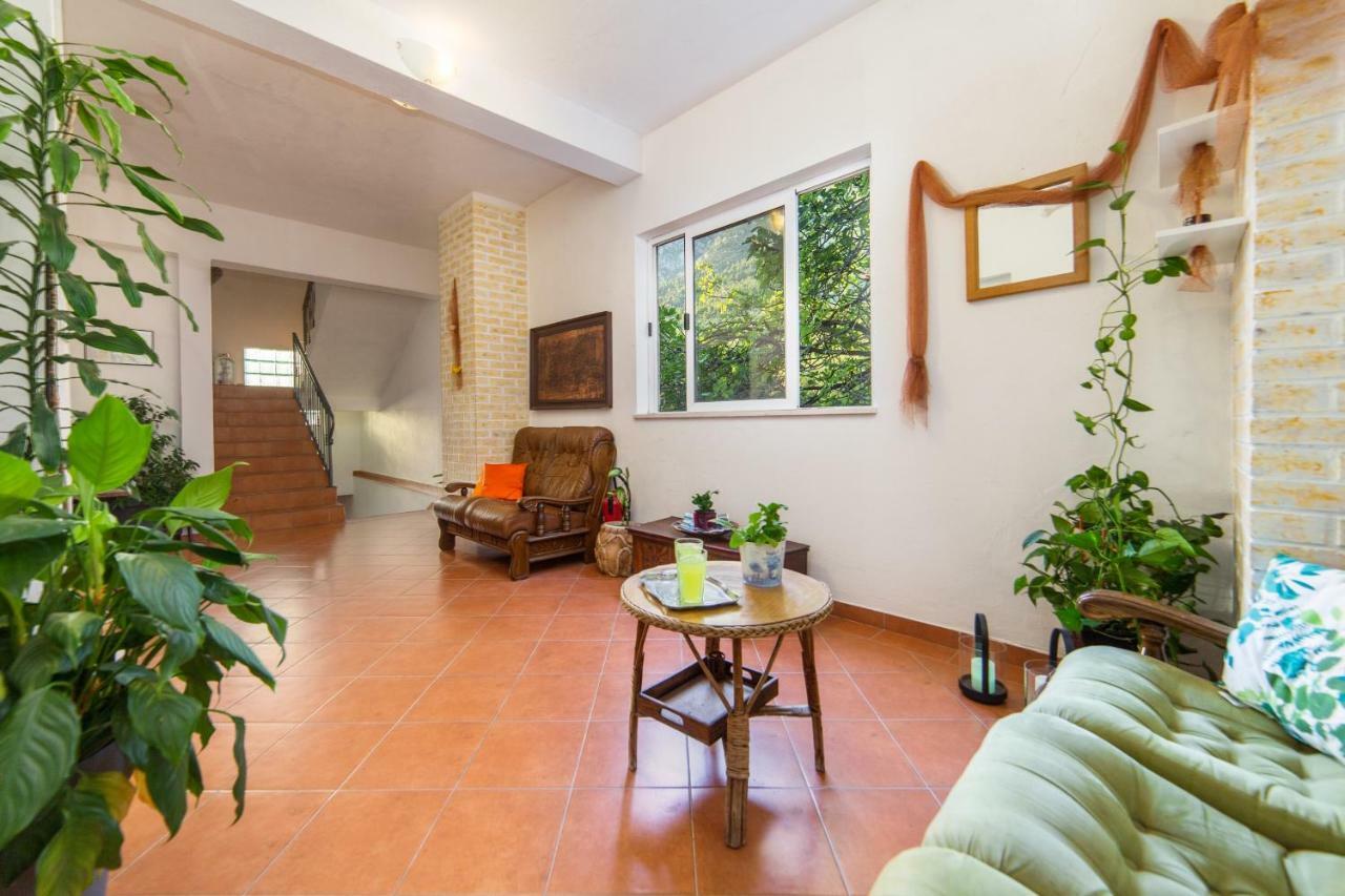 Apartments Mateljak Градац Екстериор снимка